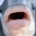 bruh emote