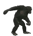 monkeyPls emoji