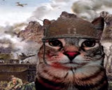 War emote
