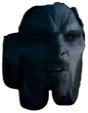 Amorbus emote