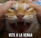 VETEALAVERGA emote