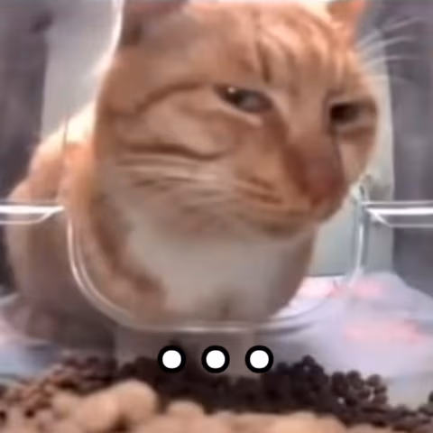 side_eye emote