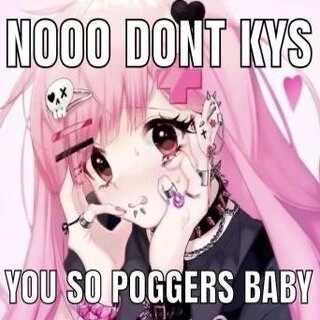 nooodontkysyourpoggers emote