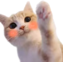 Hi emote