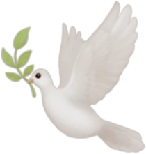 dove static emote