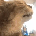 asd emote