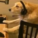 DOGAMING emote