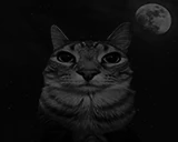 darkness emote