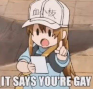 It_Says_Youre_Gay emote