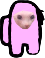 bingus_amongus emote