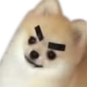mad_doggo emote