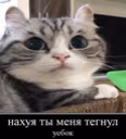 prichinatega emote