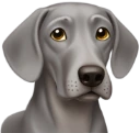 weimaraner emote