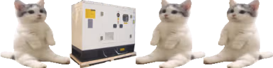 catsittingverycomfortablearounda75kwdieselgeneratorwithitsfriend emote