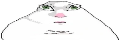 wtff emoji