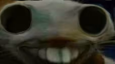 xpipi emote