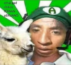 fernanpe emote