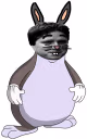 kappachungus emote