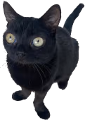 bigfootjinx emote