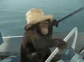 Ahoy emote