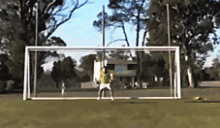 Iker animated emote
