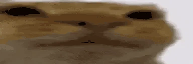 Awwwwwkward emote