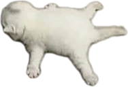 splort emote