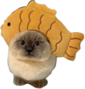 fish static emote