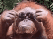 BASED animated emote