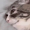 imtired emoji