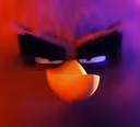Terenc emote