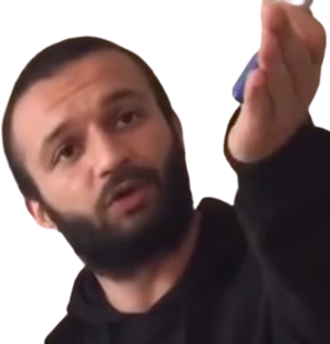 ne_dion static emote
