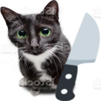 knifecat emote