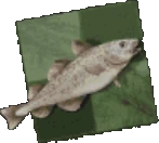 Stockfish_emote_chess emote