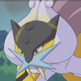 raikou