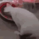 Melon2 emote