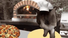 catmakingpizza emoji