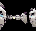 poro emote