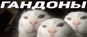 GANDONbI emote