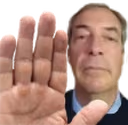 nigelHalt emote
