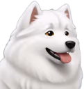 samoyed emote