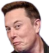 elonreally static emote