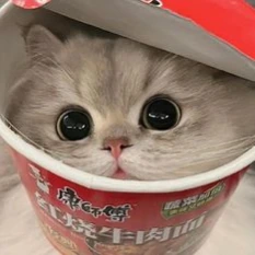 Meow emote