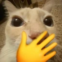 yonodijeeso emote