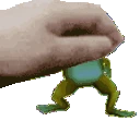 petfrog emote
