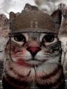 ThousandYardStare emote
