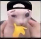 ongod emote
