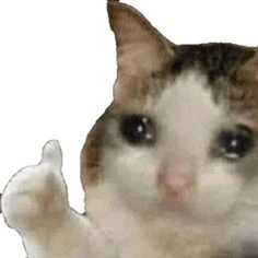 sad_cat emote