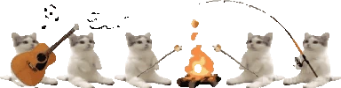 catsittingverycomfortablearoundacampfirewithitsfriendswithmarshm emoji