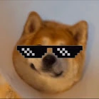 Nusbug emote